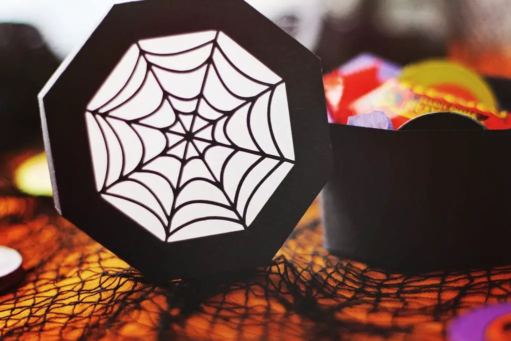 backlit close up the spider web shape on the lid